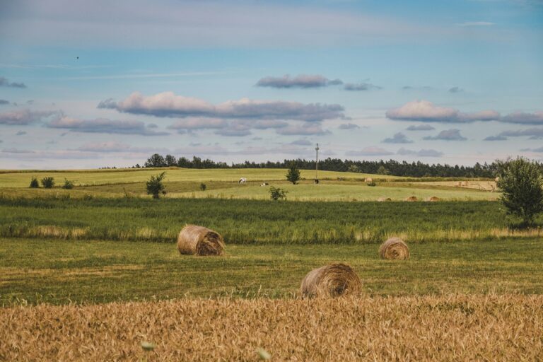 Za kilka lat rolnicy będą liczyć nie tylko plony, ale także ślad węglowy