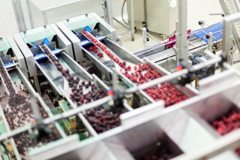 Czy w Polsce nadal opłaca się produkować? Koszty rosną, eksport bije rekordy, ale to marże stają się największym wyzwaniem